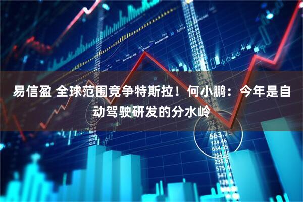 易信盈 全球范围竞争特斯拉！何小鹏：今年是自动驾驶研发的分水岭