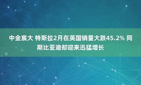 中金宸大 特斯拉2月在英国销量大跌45.2% 同期比亚迪却迎来迅猛增长