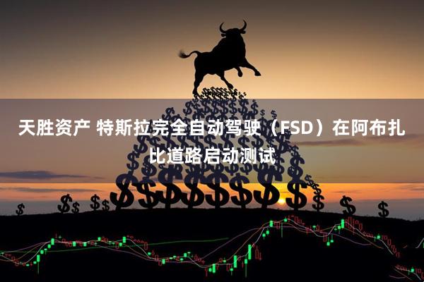 天胜资产 特斯拉完全自动驾驶（FSD）在阿布扎比道路启动测试