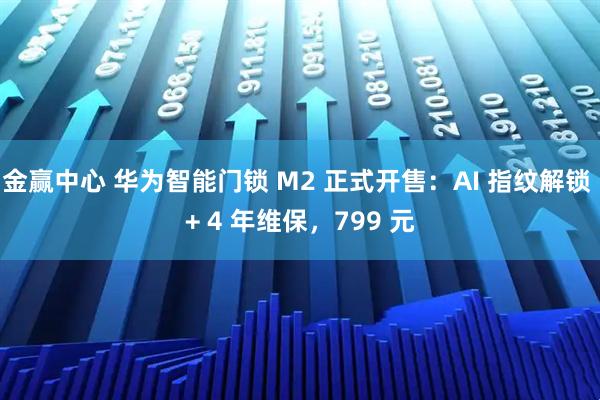 金赢中心 华为智能门锁 M2 正式开售：AI 指纹解锁 + 4 年维保，799 元