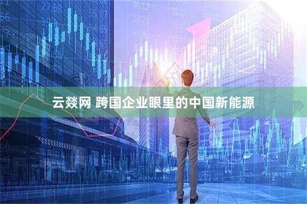 云燚网 跨国企业眼里的中国新能源