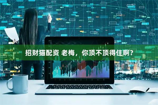 招财猫配资 老梅，你顶不顶得住啊？