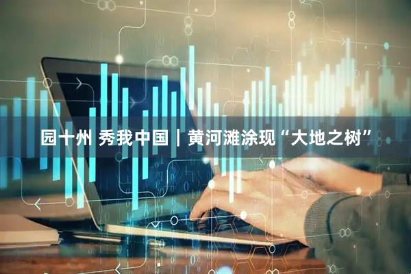 园十州 秀我中国｜黄河滩涂现“大地之树”