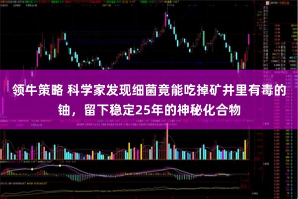 领牛策略 科学家发现细菌竟能吃掉矿井里有毒的铀，留下稳定25年的神秘化合物