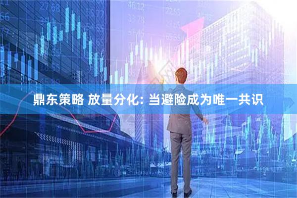 鼎东策略 放量分化: 当避险成为唯一共识